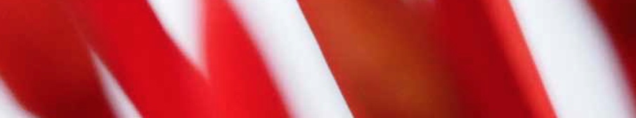 Newsletter Pérez-Llorca Abril 2015