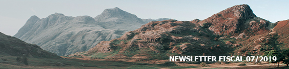 Tax Newsletter July 2019