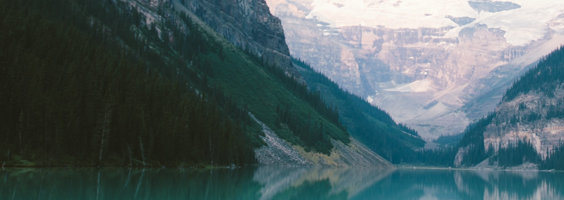Employment Newsletter November 2019