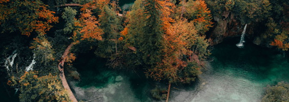 Tax Newsletter November 2019