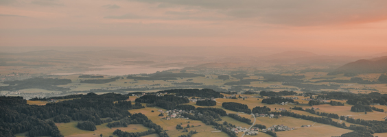 Employment Newsletter January 2020