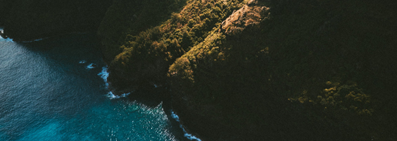 Tax Newsletter February 2020