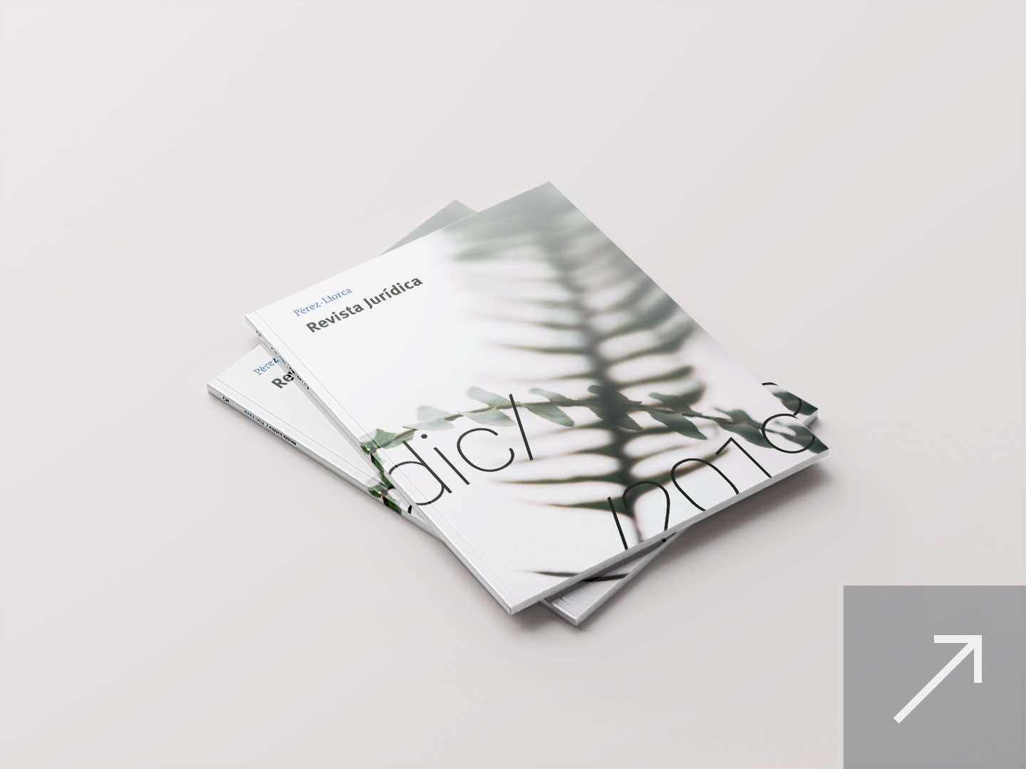 Revista Jurídica Pérez-Llorca – Diciembre 2019