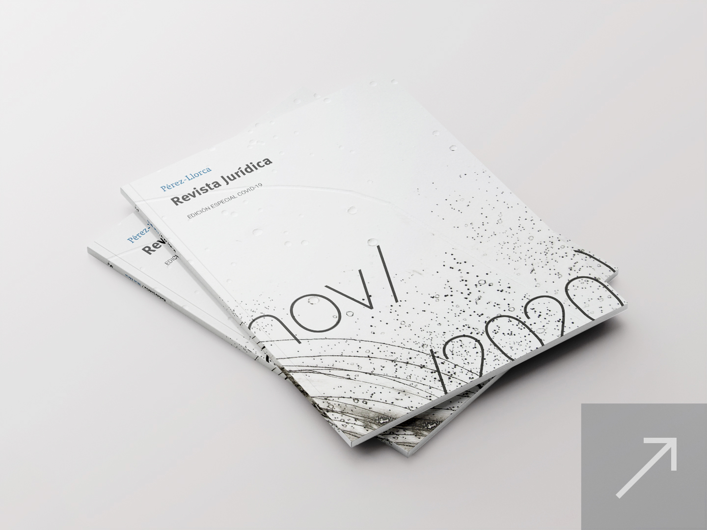 Revista Jurídica Pérez-Llorca – Noviembre 2020