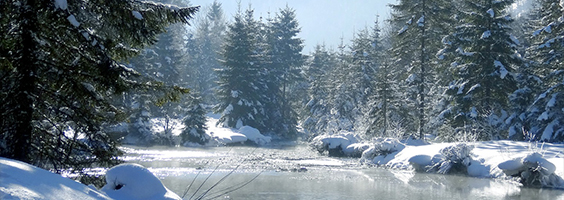 Land Planning Newsletter January 2021