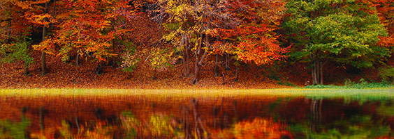 Tax Newsletter October 2021