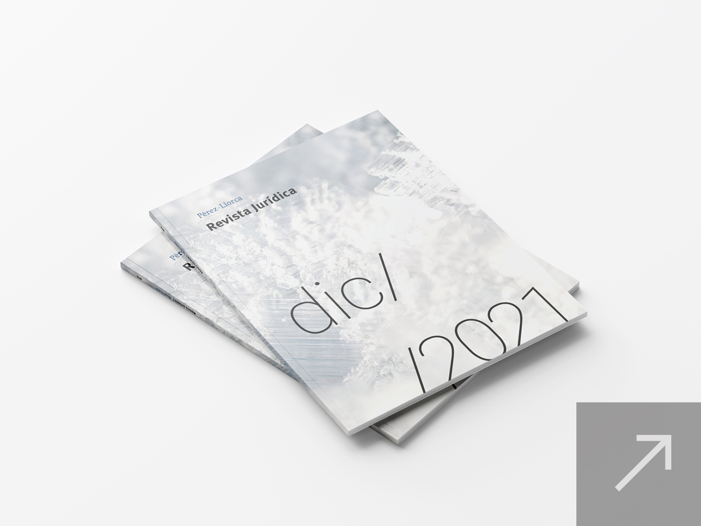 Revista Jurídica Pérez-Llorca – Diciembre 2021