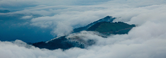 Environment Newsletter April 2022