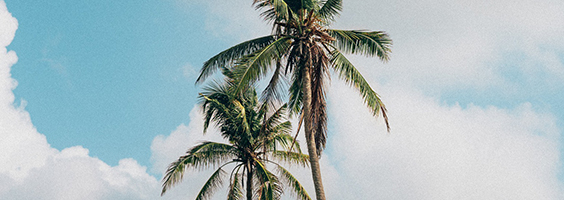 Employment Newsletter June 2022