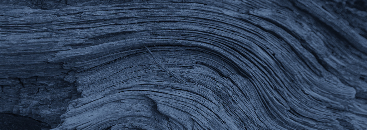 Antitrust Litigation Insights – October 2023