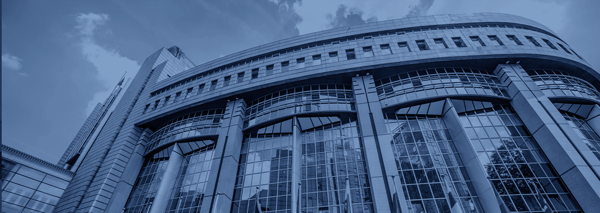 Brussels Insights – Mayo, Junio y Julio 2024
