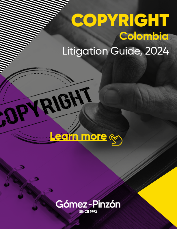 Litigation Guide Copyright