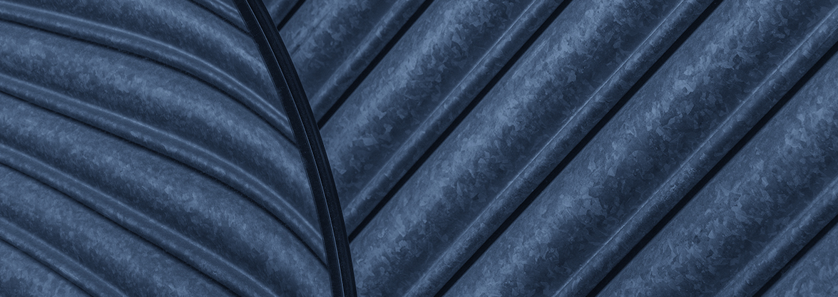Antitrust and Competition Litigation Insights – March 2024