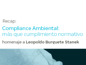 Borrador automático 32