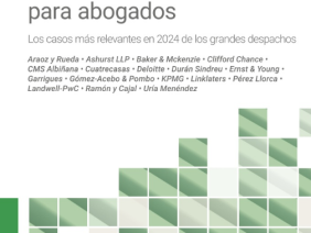 2025 Práctica Laboral para abogados