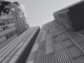 Asesoramos a IDB Invest en la primera emisión de bonos sociales en Colombia por COP 100.000 millones, para apoyar PYMEs y empleo formal