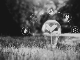 Asesoría a Promigas en el acuerdo con Zelestra para la adquisición del 100% de las acciones de compañías de generación renovable