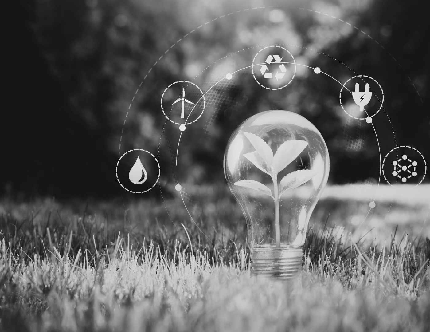 Advice to Promigas on the agreement entered into with Zelestra for the acquisition of 100% of the shares of companies of renewable generation