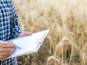 Colombia estrena jurisdicción agraria: lo que debe saber el sector inmobiliario