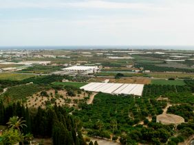 El saneamiento agrario del Decreto 765: ¿una solución que genera más incertidumbre?